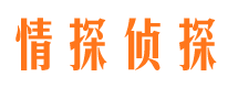 湖州私家调查公司